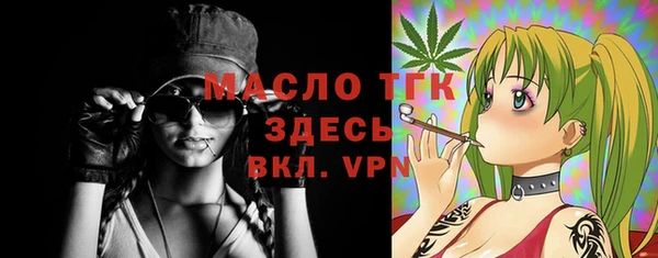 гидра Краснослободск
