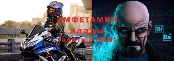 трава Корсаков