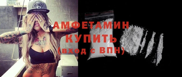 гидра Краснослободск