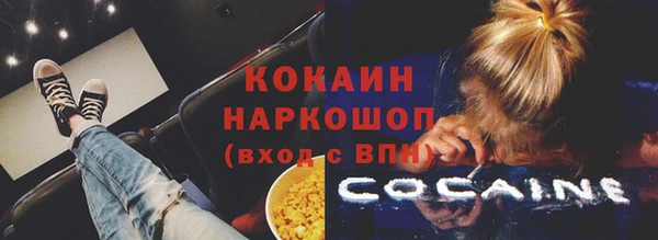 трава Корсаков