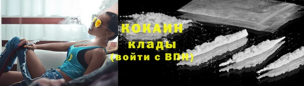 трава Корсаков