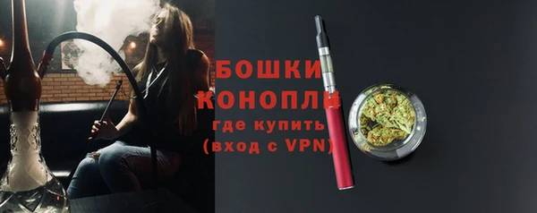 гидра Краснослободск
