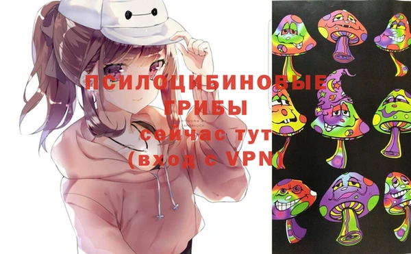 гидропоника Коряжма