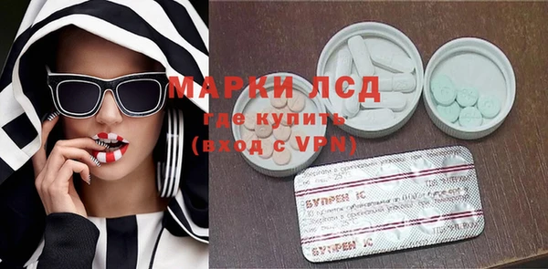трава Корсаков