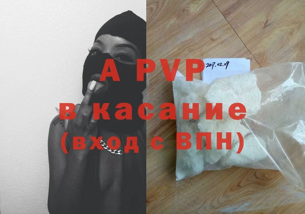 трава Корсаков