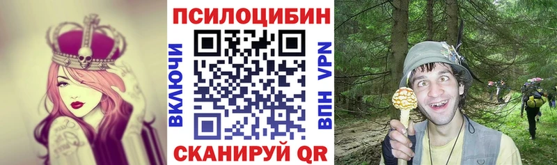 Купить где  Пенза  Галлюциногенные грибы MAGIC MUSHROOMS 